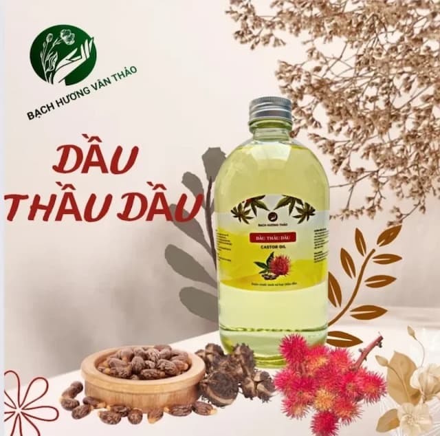 DẦU THẦU DẦU nguyên chất, Castor oil , dầu thực vật, dầu nền mỹ phẩm, làm xà phòng, handmade soap, dầu massage, dưỡng da, làm đẹp, sức khoẻ, cung cấp vitamin, nguyên liệu mỹ phẩm, BẠCH HƯƠNG VÂN THẢO